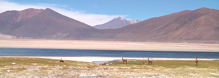 Patrón De Asentamiento Quechua Chile Precolombino